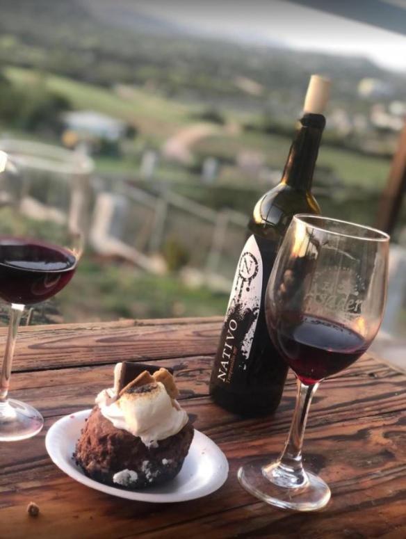 Suites Nativo - Beautiful Vineyard & Valley View 장크트 고아르스하우젠 외부 사진